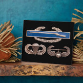 CIB Im Flugzeug Air Assault Fotoplatte (Seite)