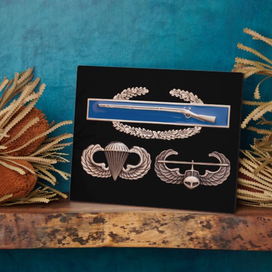 CIB Im Flugzeug Air Assault Fotoplatte (Seite)