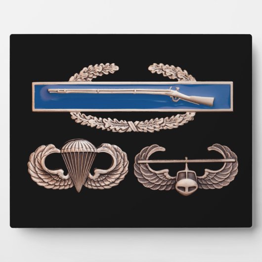 CIB Im Flugzeug Air Assault Fotoplatte (Vorderseite)