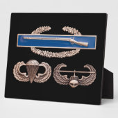 CIB Im Flugzeug Air Assault Fotoplatte (Seite)