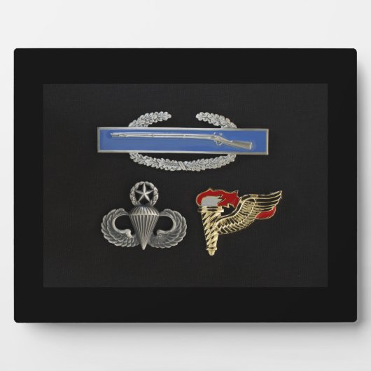 CIB Master Im Flugzeug Pathfinder Fotoplatte (Vorderseite)