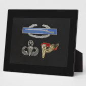 CIB Master Im Flugzeug Pathfinder Fotoplatte (Seite)