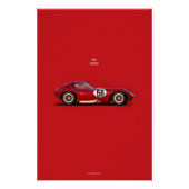 CiC Cheetah V8 Poster (Vorderseite)