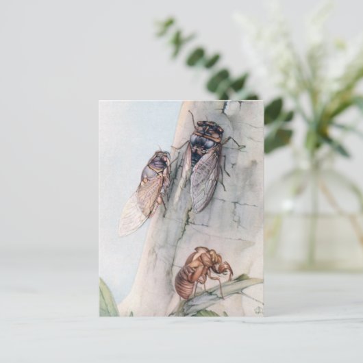CICADA 2 POSTKARTE (Stehend Vorderseite)
