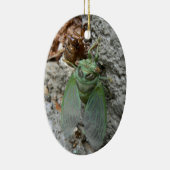 Cicada an der Mauer Keramikornament (Rechts)