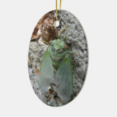 Cicada an der Mauer Keramikornament (Links)