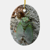 Cicada an der Mauer Keramikornament (Vorne)