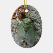 Cicada an der Mauer Keramikornament (Hinten)