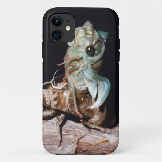 Cicada aus der Muschel Fall Mate iPhone Fall Case-Mate iPhone Hülle (Rückseite)