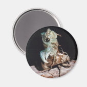 Cicada aus der Muschel Magnet (Vorderseite/Rückseite)