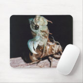 Cicada aus der Muschel Mousepad (Mit Mouse)