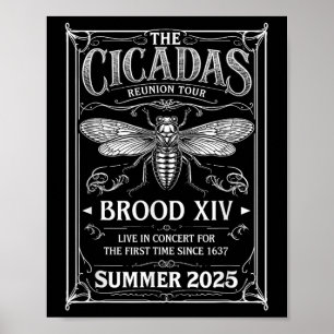 Cicada Brood Xiv Sommer 2025 Wiedersehen Tour Swar Poster