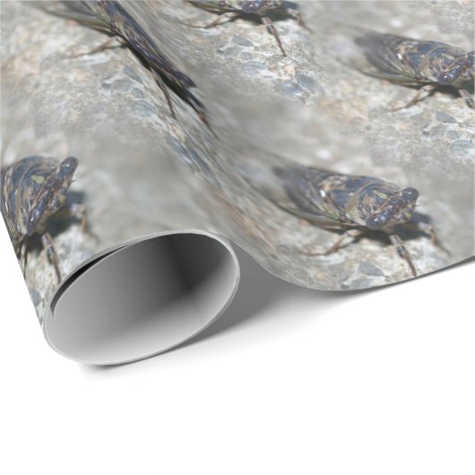 Cicada Bug Face Nattern Muster Geschenkpapier (Rolleneckpunkt)