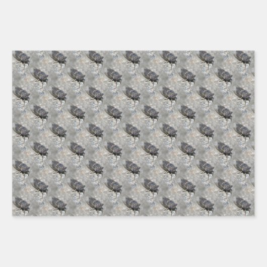 Cicada Bug Face Nattern Muster Geschenkpapier Set (Vorderseite 3)