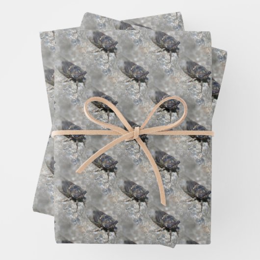 Cicada Bug Face Nattern Muster Geschenkpapier Set (Beispiel)
