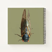 Cicada Bug Insect Foto Benutzerdefinierte Meldung Notizblock (Rückseite)