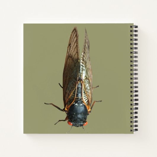 Cicada Bug Insect Foto Benutzerdefinierte Meldung Notizblock (Rückseite)