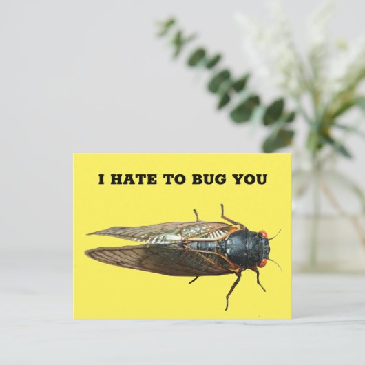 Cicada Bug Insect Foto Benutzerdefinierte Meldung Postkarte (Stehend Vorderseite)