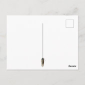 Cicada Bug Insect Foto Benutzerdefinierte Meldung Postkarte (Rückseite)