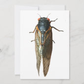 Cicada Bug, Insekten Foto Personalisiert Einladung (Rückseite)