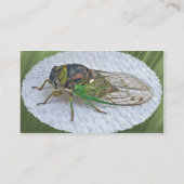 Cicada Business Card Visitenkarte (Rückseite)