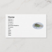 Cicada Business Card Visitenkarte (Vorderseite)