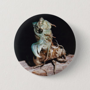 Cicada Button