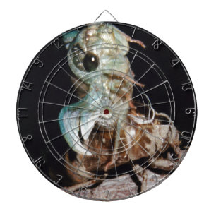 Cicada Dartscheibe