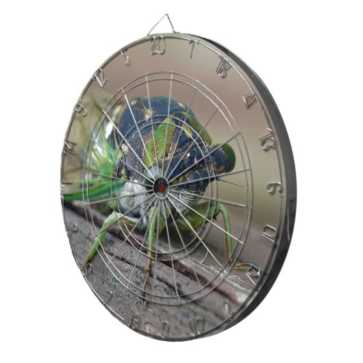 Cicada Dartscheibe (Vorderseite rechts)