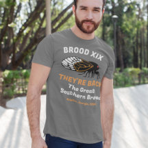 Cicada Emergence Sie sind wieder vollständig anpas