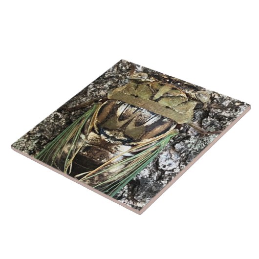 Cicada Fliese (Seite)