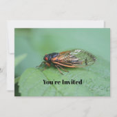 Cicada Foto Birthday Einladung (Vorderseite)