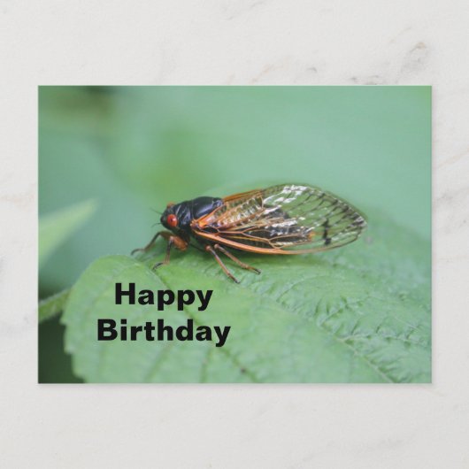 Cicada Foto Birthday Postkarte (Vorderseite)
