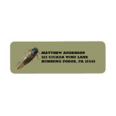 Cicada-Foto-Bug, Insekten-Rücksendeadresse (Vorne)