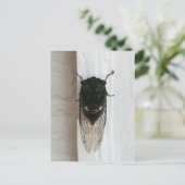 Cicada-Foto Postkarte (Stehend Vorderseite)