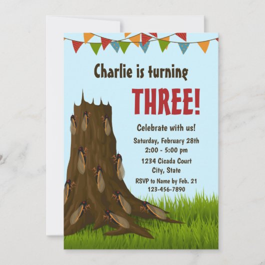 Cicada Geburtstagseinladung Einladung (Vorderseite)