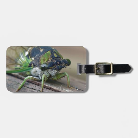 Cicada Gepäckanhänger (Vorderseite horizontal)