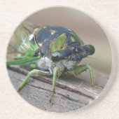 Cicada Getränkeuntersetzer (Vorne)