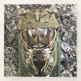 Cicada Glasuntersetzer