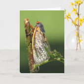 Cicada Grußkarte Karte (Gelbe Blume)
