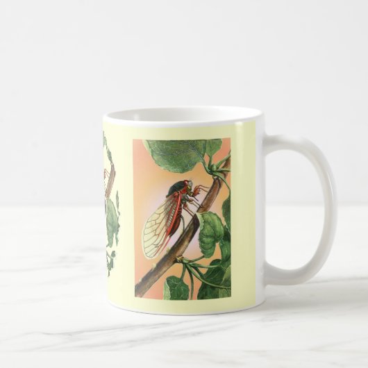 Cicada Insect Illustration Art Kaffeetasse (Rechts)