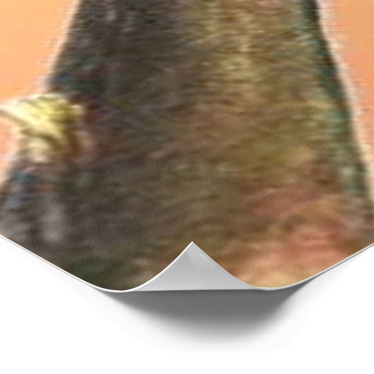 Cicada Insect Illustration Art Poster (Ecke)