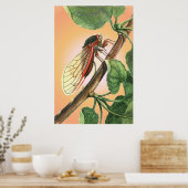 Cicada Insect Illustration Art Poster (Küche)