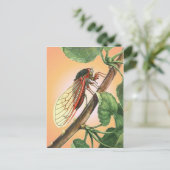 Cicada Insect Illustration Art Postkarte (Stehend Vorderseite)