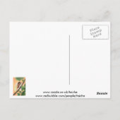 Cicada Insect Illustration Art Postkarte (Rückseite)