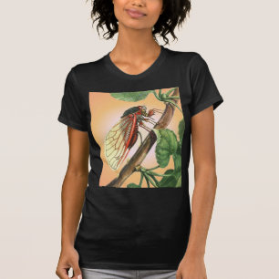 Cicada Insect Illustration Art T-Shirt