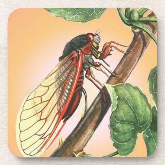 Cicada Insect Illustration Art Untersetzer (Vorderseite)