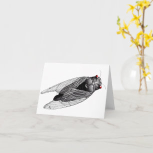 Cicada Karte