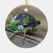 Cicada Keramik Ornament (Vorne)
