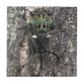 Cicada Keramik Tile Fliese (Vorderseite)